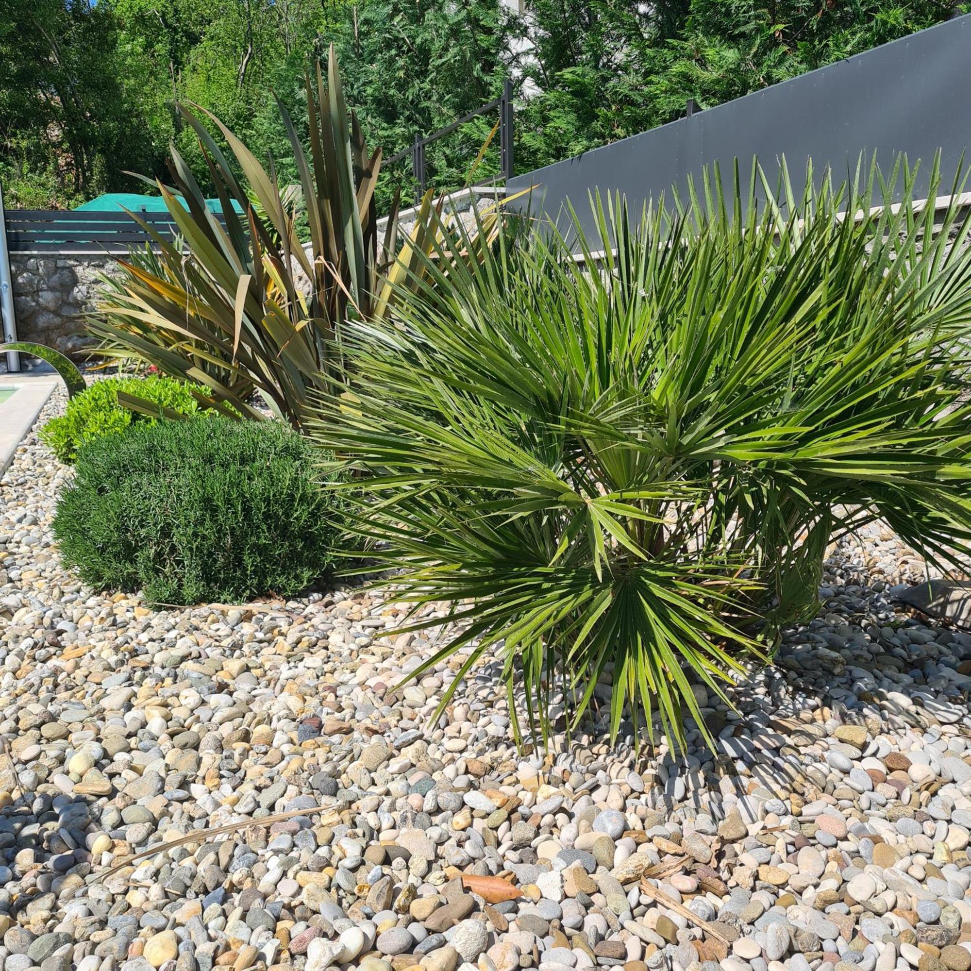 Ičići Piccola Villa Adriatic With A Swimming Pool, Grill, Children Playground Opatija מראה חיצוני תמונה
